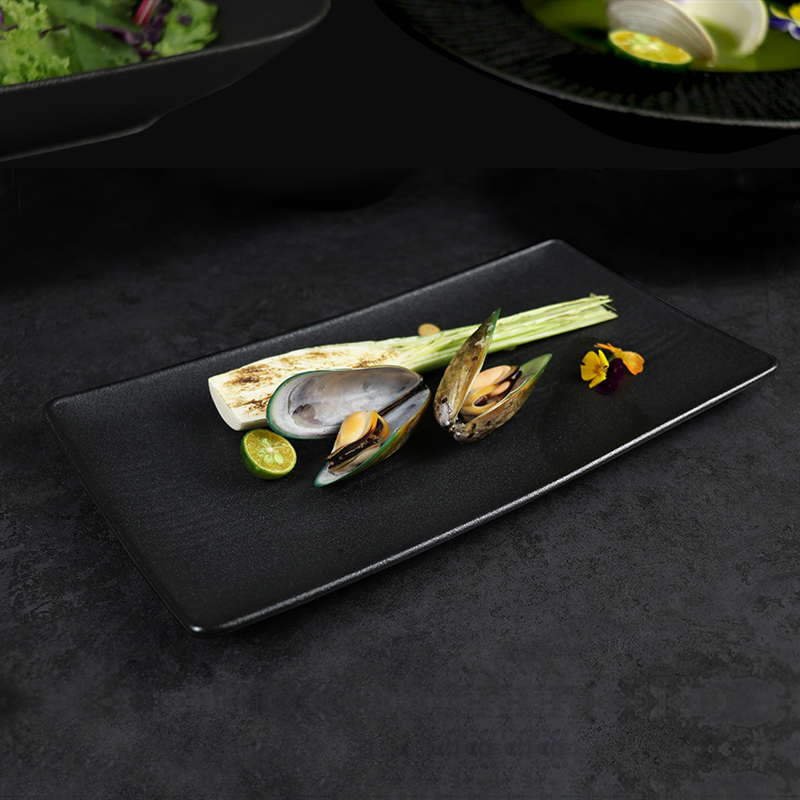 Rechteckiger Porzellanteller, neues Design, matt mattierter schwarzer Restaurantteller