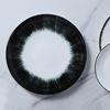 Hotel Ware Neues Geschirr, Speiseteller, Meeresfrüchte-Urchin-Design, Schwarz-Weiß-Geschirr aus Knochenporzellan