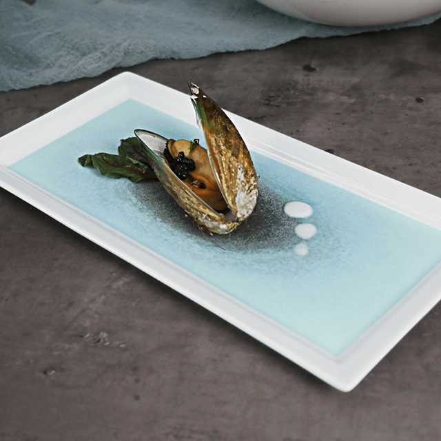 Italienisches Geschirr, französisches Tafelgeschirr, mattes Geschirr