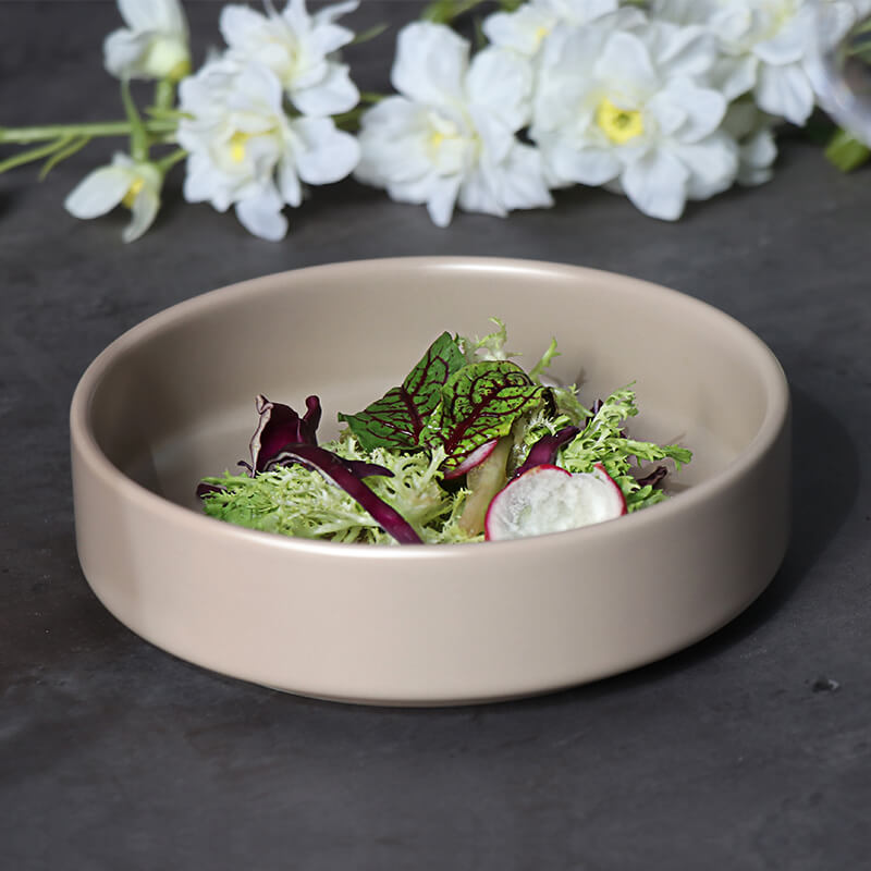 Hotel-Porzellan-Essteller für den Catering-Service